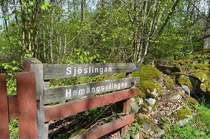 Fotograf: Ingela Eriksson