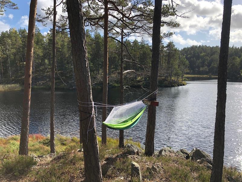 Fjella turområde