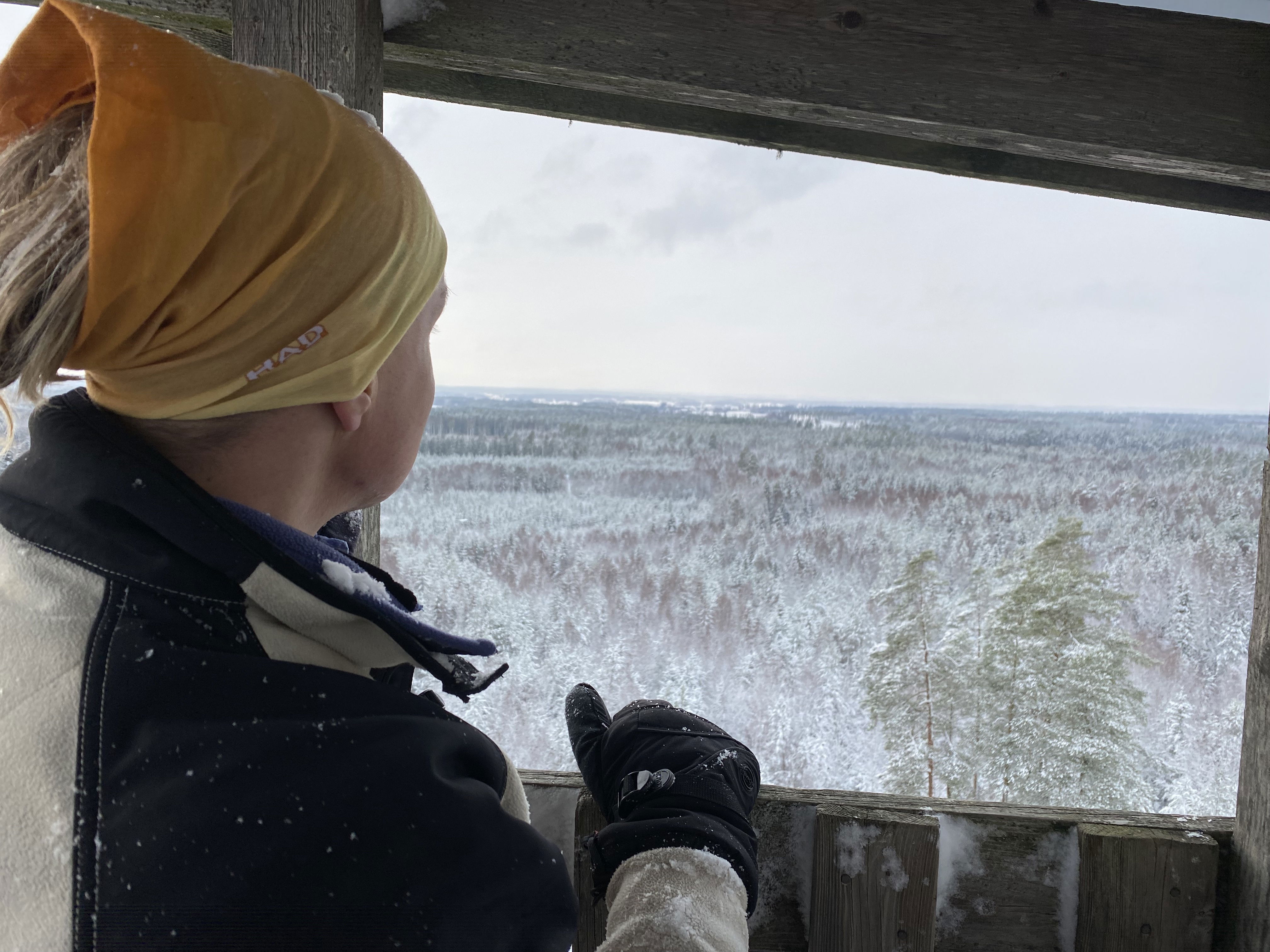 Utsikten från Mattssons torn