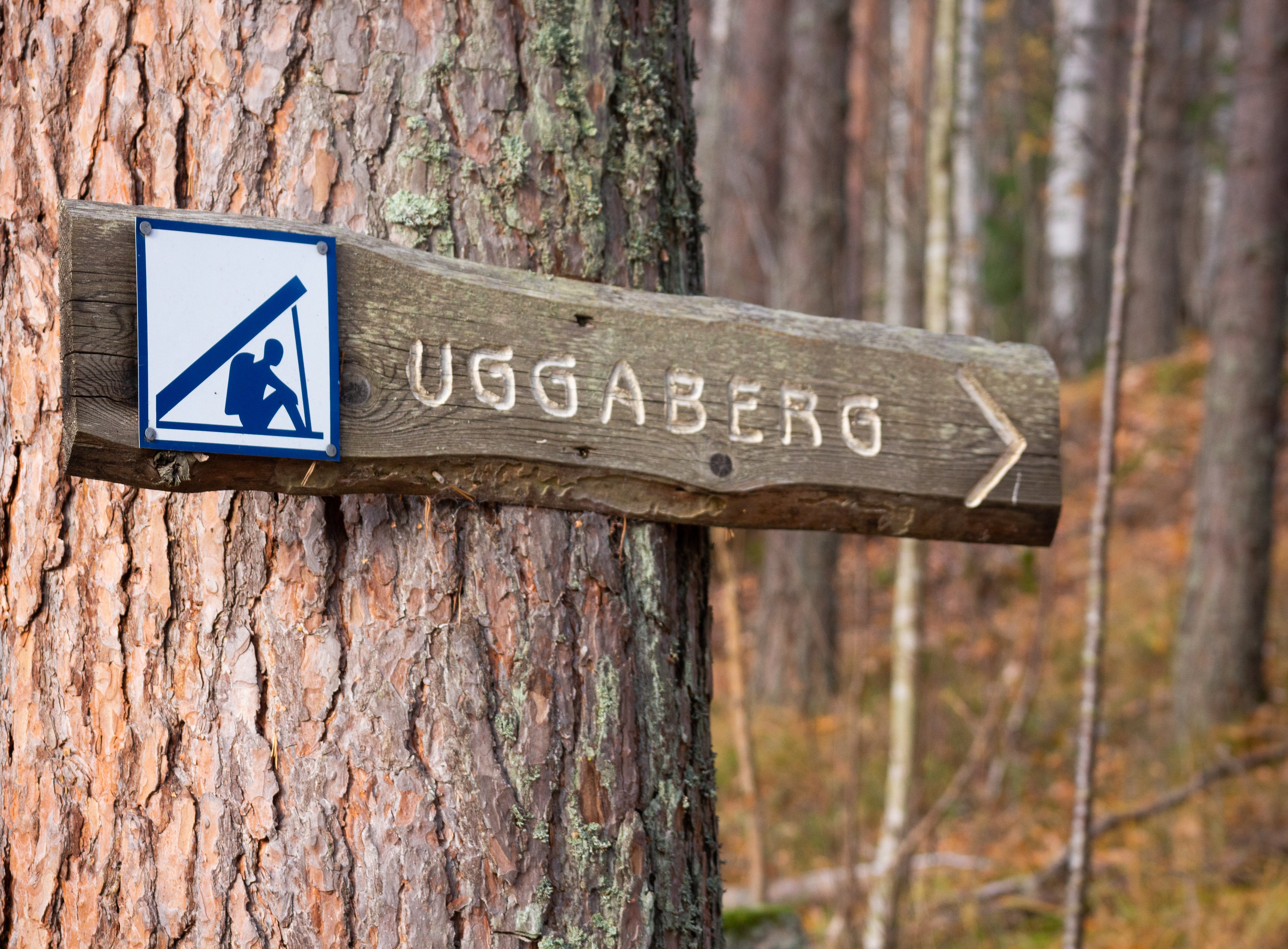 Branta stigen på Uggaberg