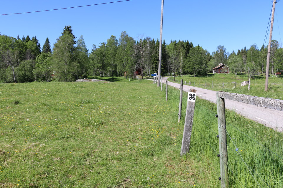 En hage med grönt gräs bredvid en smal asfalterad väg, ett stängsel och en stolpe med vit ledmarkering med en svart kringla på.