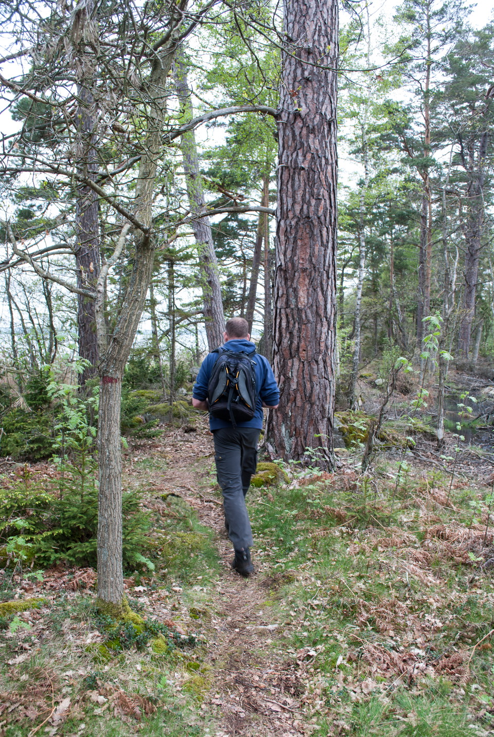 Fotograf: Tobias Ivarsson