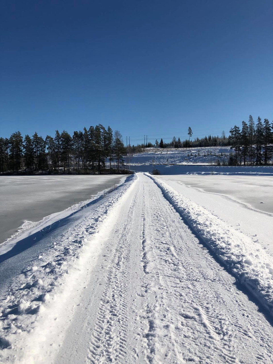 Plogad led vintertid.