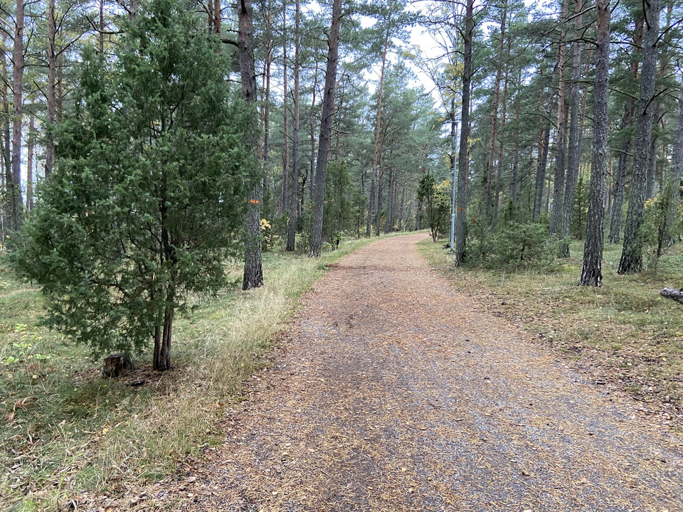 Lättvandrat motionsspår, från Bålsta mot Granåsen.