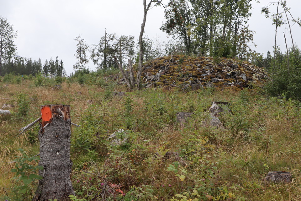 Leden är markerad med orange markeringar.
