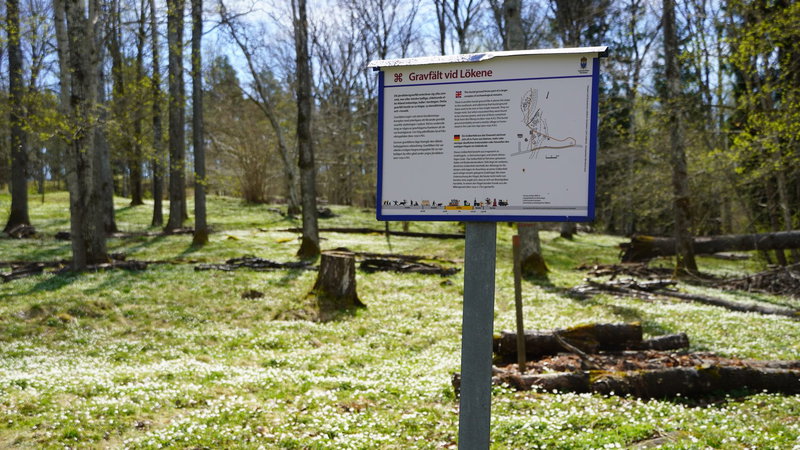 Lökene Grave field
