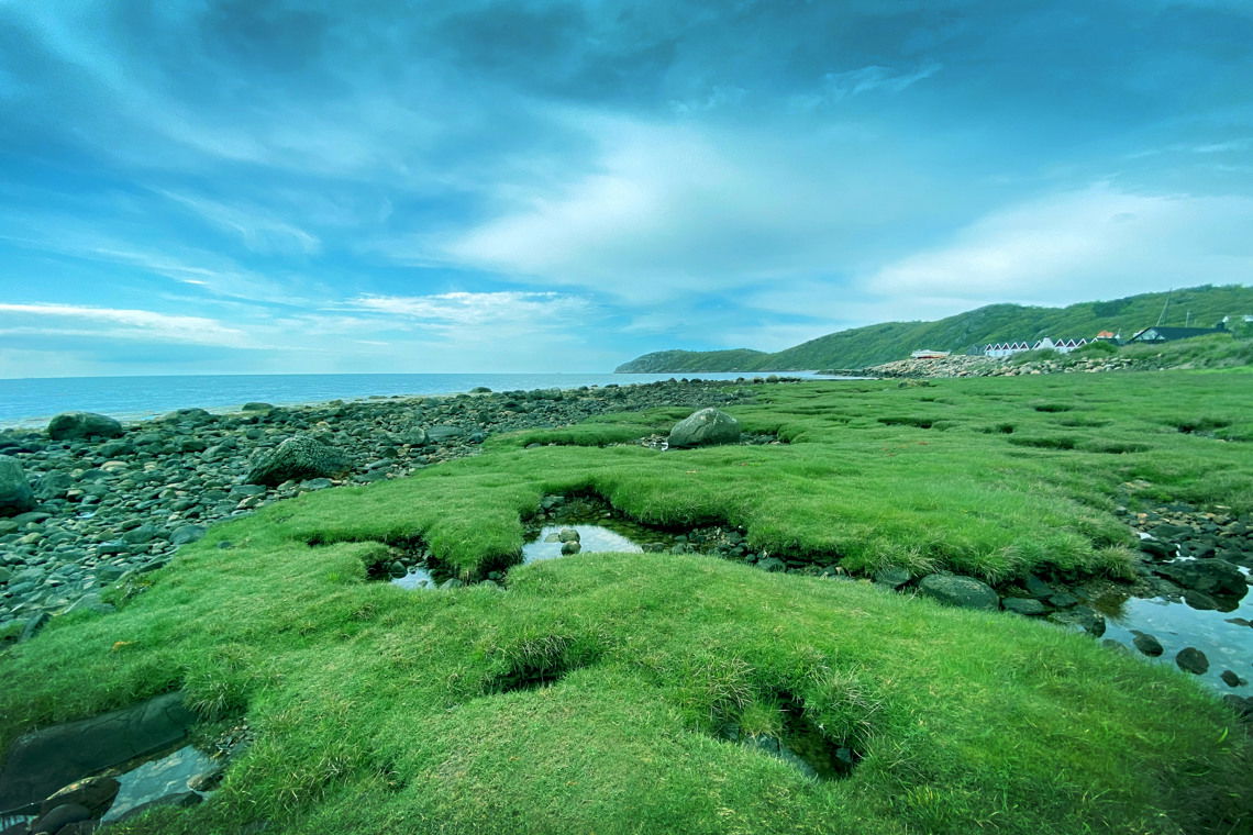 Mölle fälad.