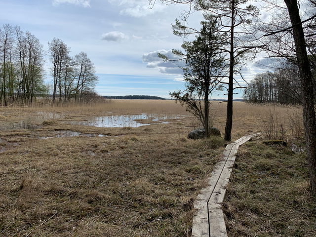 Rikkärr, Sandemar