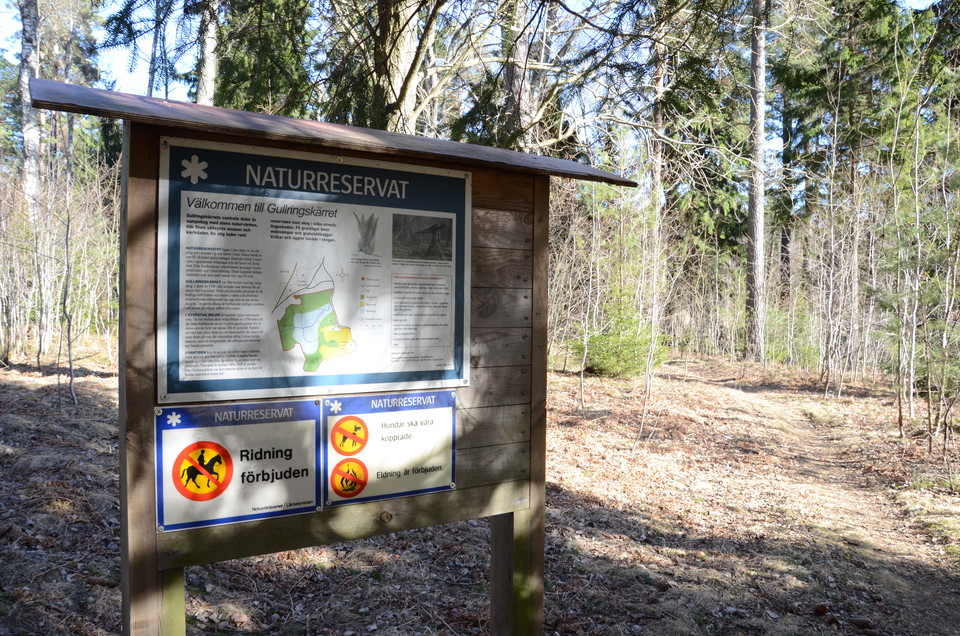 Entré norra Gullringskärret. 