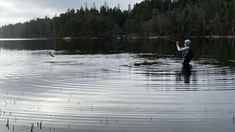 Blå kortet, Norra långevattnet