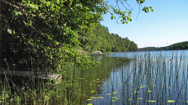 Kottebo naturreservat