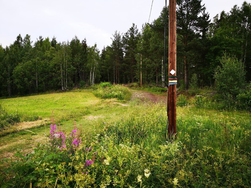 Gå elljusspåret åt höger