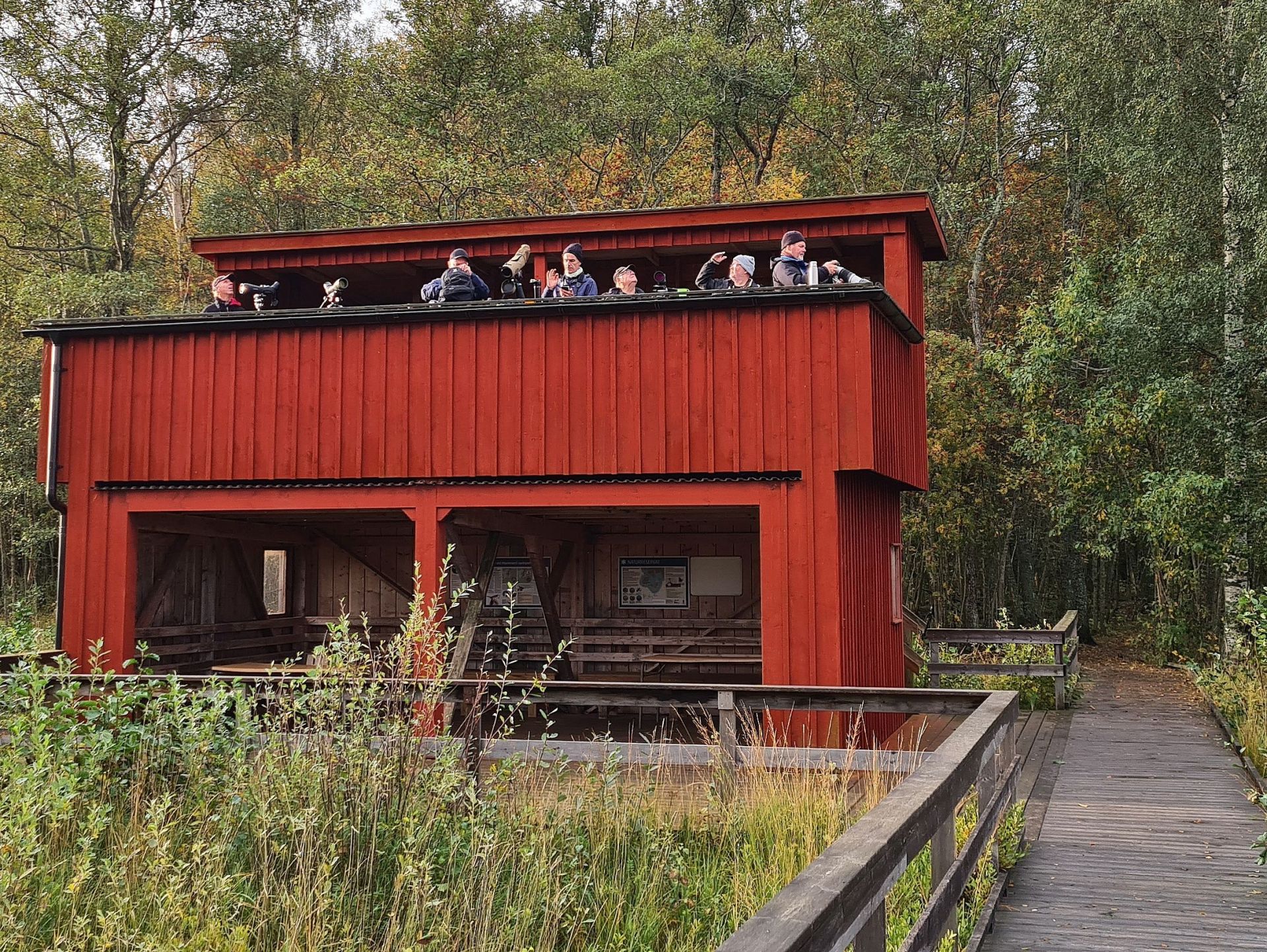 Hammarö Fågelstation