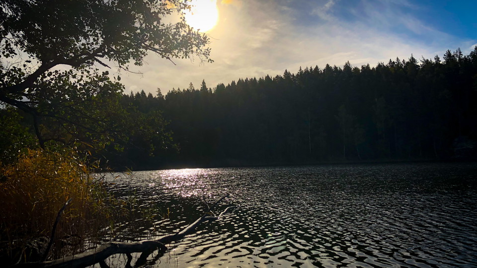 Träsksjön i motljus.