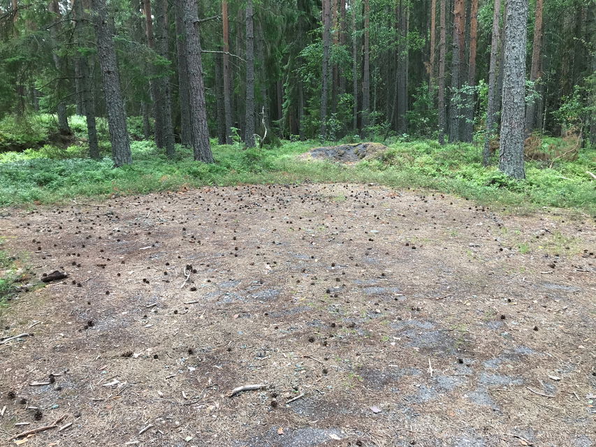 Parkeringsyta vid Onsösundet