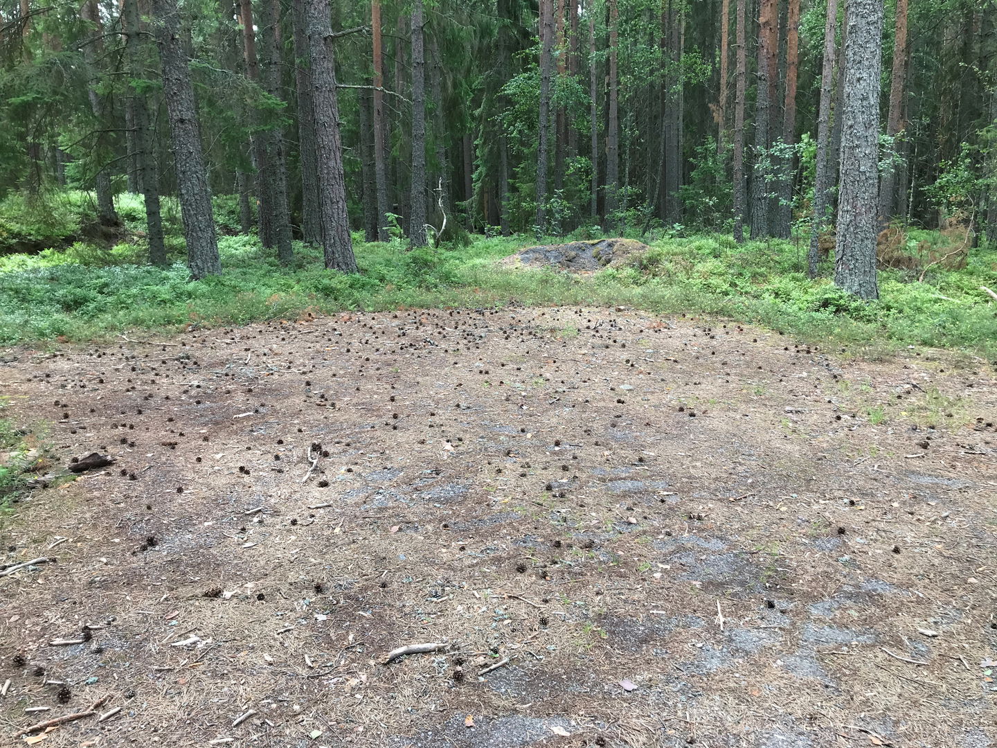 Parkeringsyta vid Onsösundet