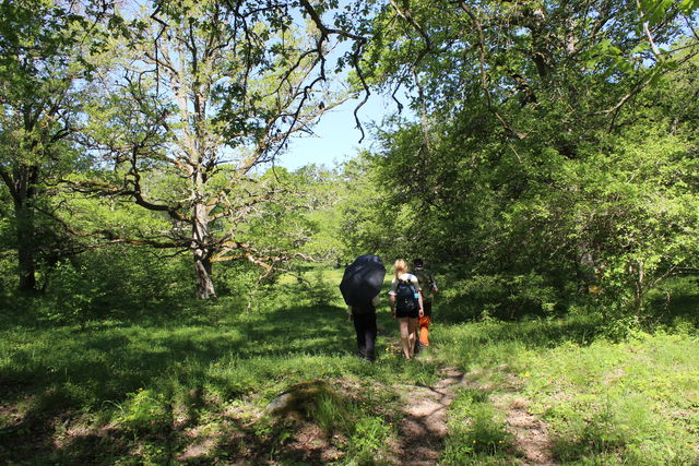 Vandringsled, Sundängen