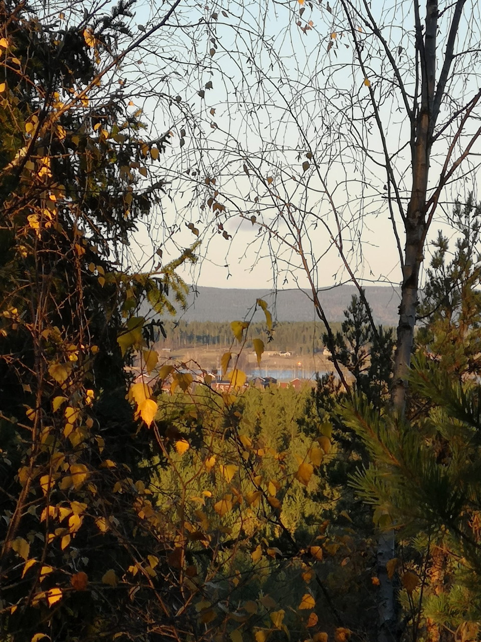 Moraberget