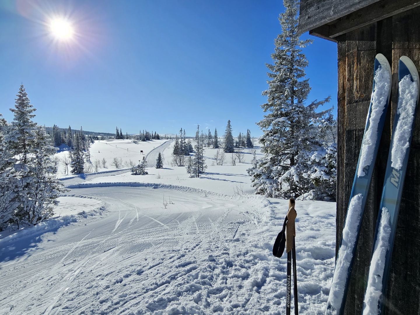 Skidor som står lutade mot ett vindskydd med utsikt över snöiga skidspår.