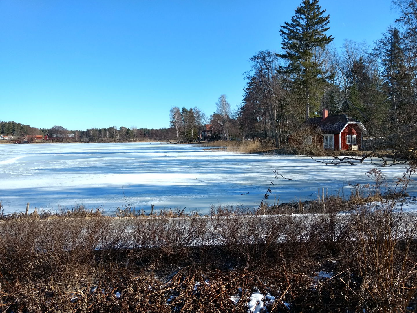 Utsikt över Rönningesjön