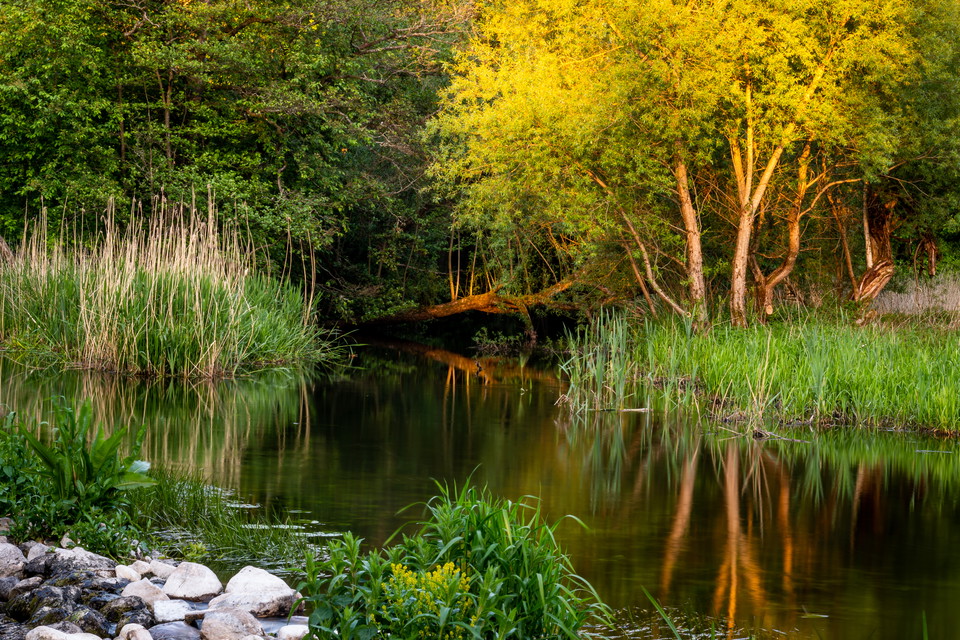 Stockamöllan, Eslöv