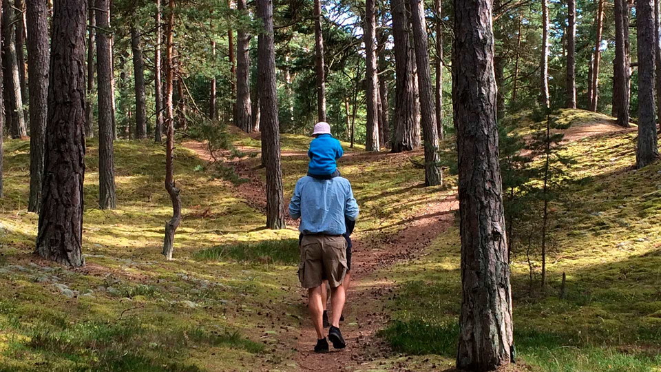 En man går med ett litet barn på axlarna i tallskogen.