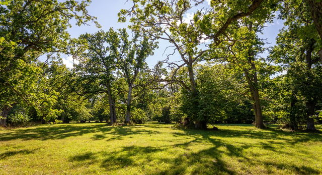 Dagghagen, Naturreservat