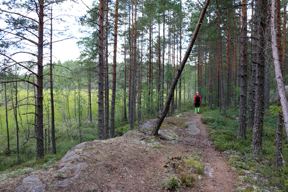 En person går på en stig. Intill stigen skymtas en myr.