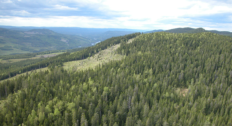 Lisselberget, Naturreservat