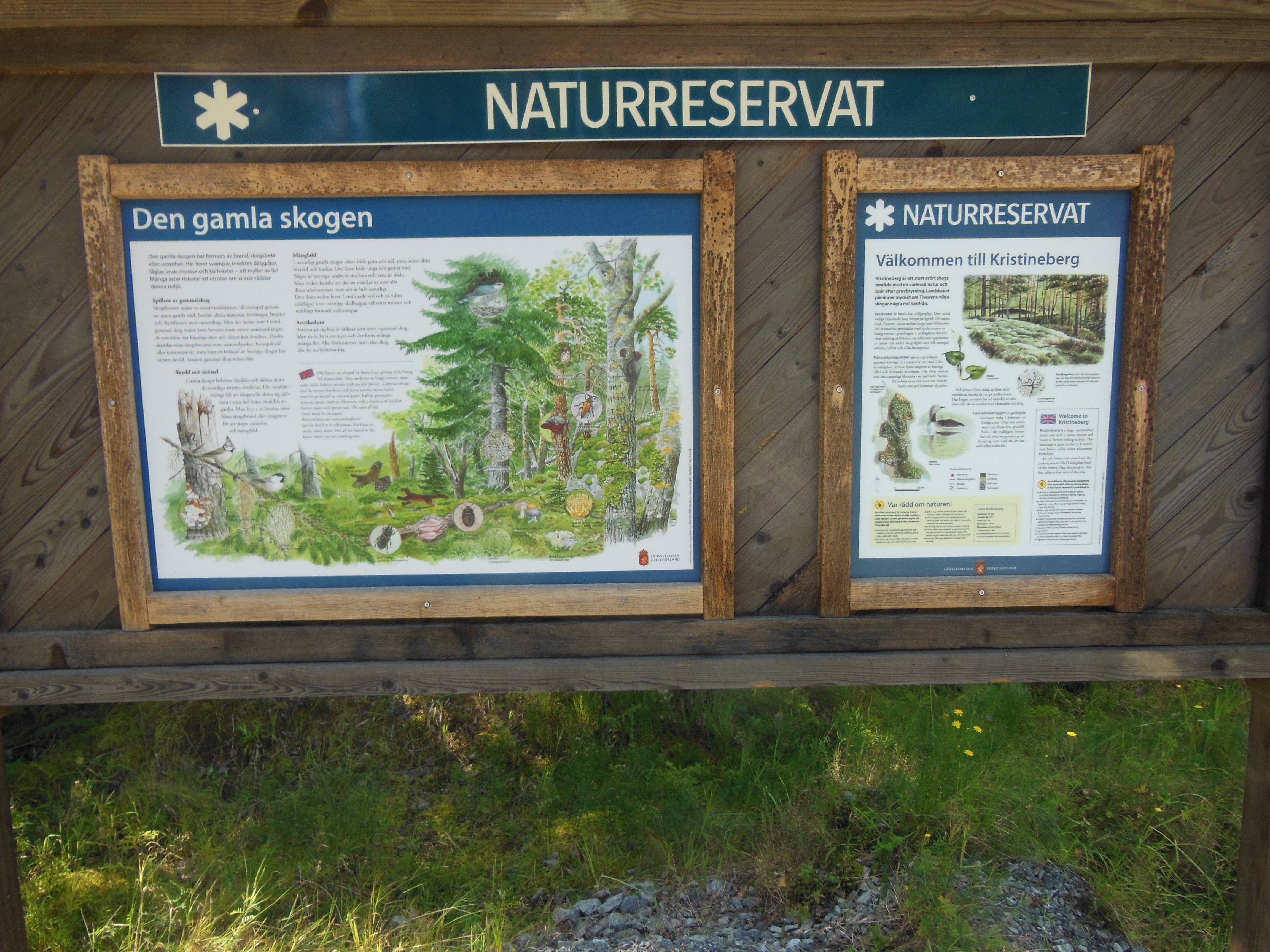 Kristineberg naturreservat