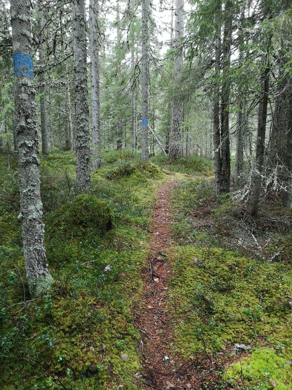 Stigen är ändå fin och tydlig mestadels.