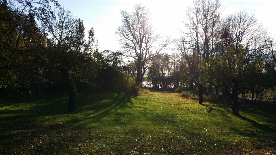 Park vid Elfviks gård.