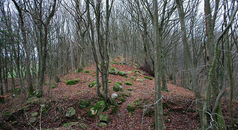 Uppe på åsen.
