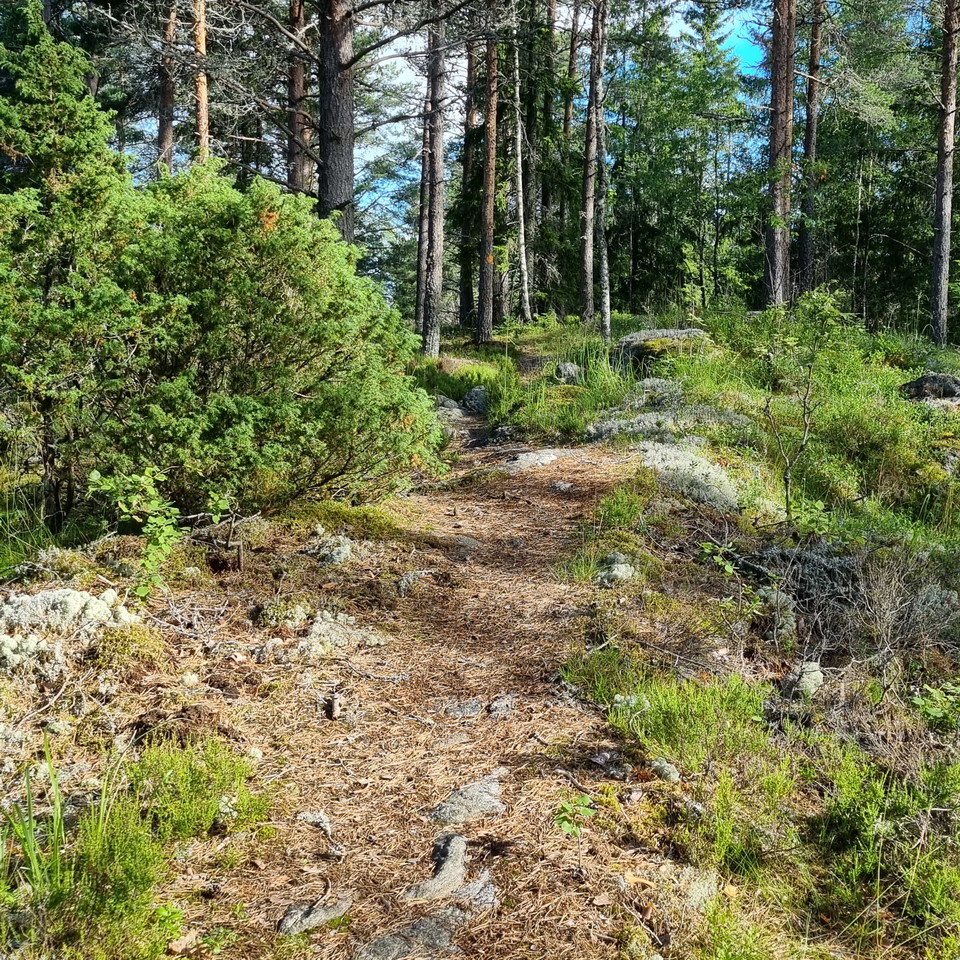 On the Djupdalshöjden Ridge