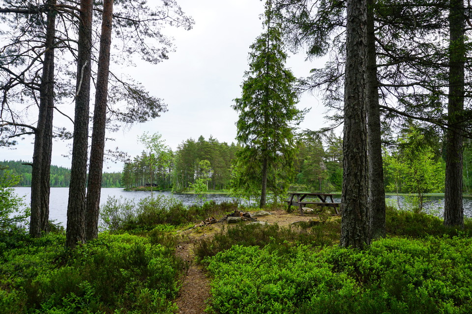 Foto: Johan Svedberg