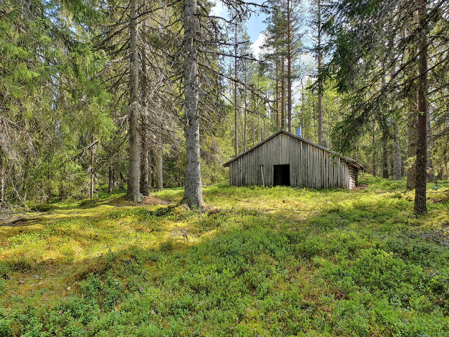 Ett gammalt hus i skogen.