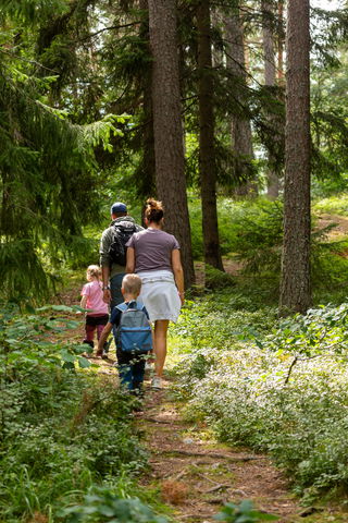 Kalkbro - rundslinga i skogen
