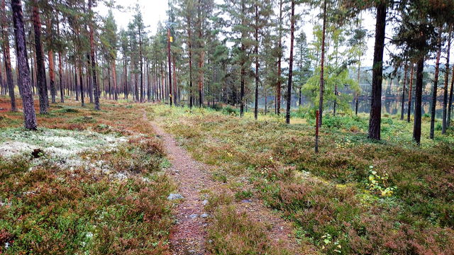 Långrundan Kårböle