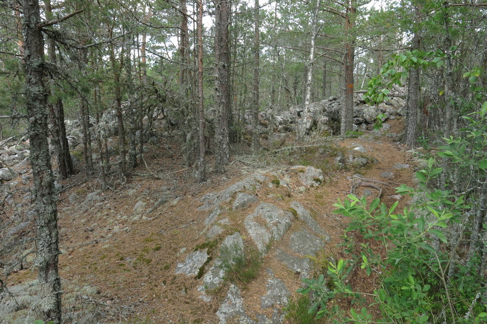 Lämningar av den gamla fornborgen.