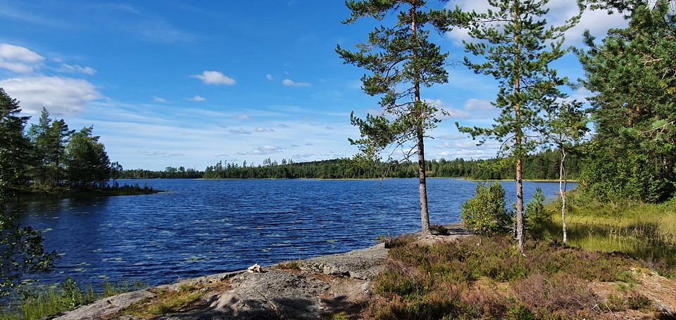 Utsikt över sjö från rastplats.