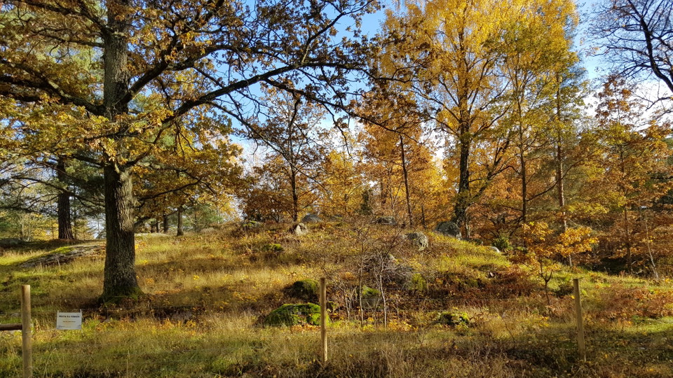 Sticklinge gravfält. Foto Lidingö stad