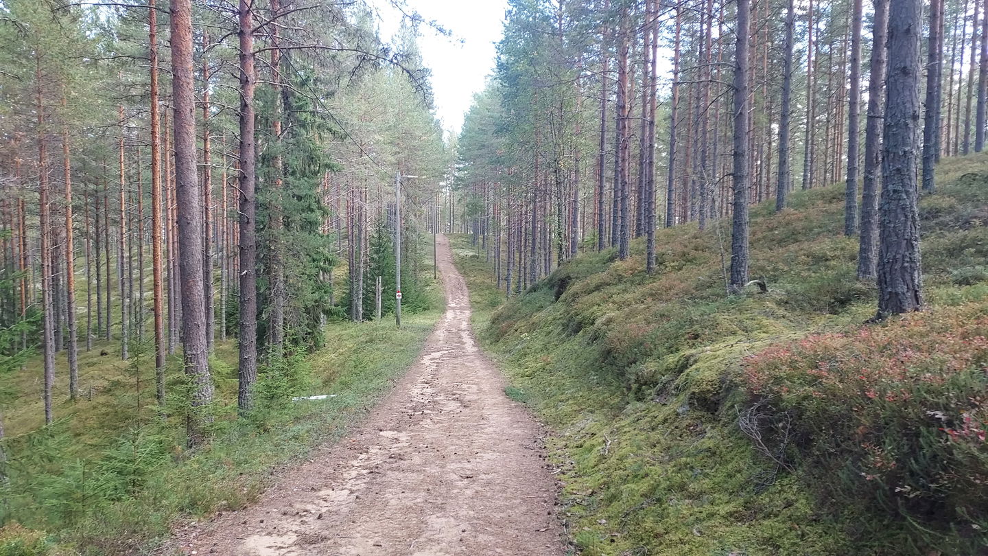 Elljusspåret i Valla, Färila