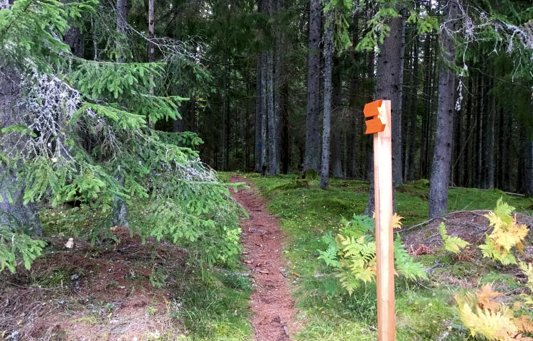 Södra slingan