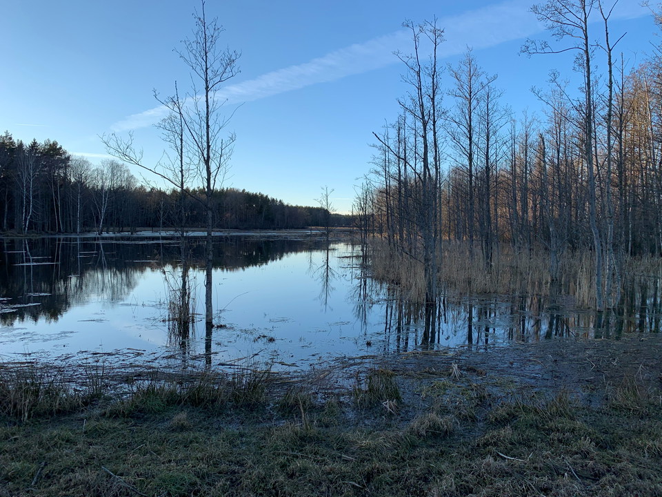 One wetland, many benefits