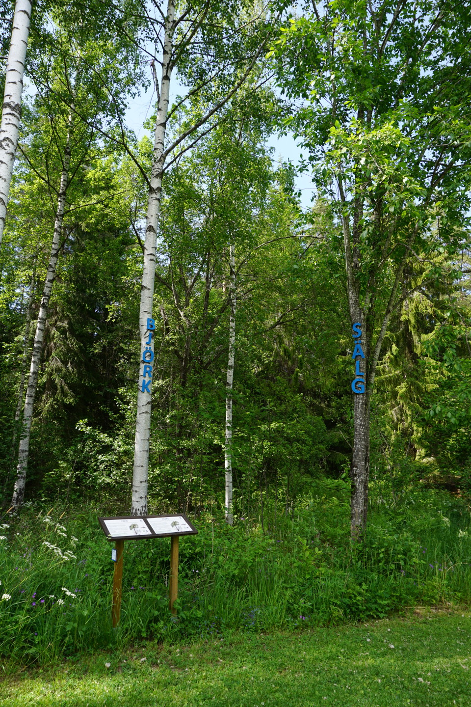 Naturstigen i Hemlingby