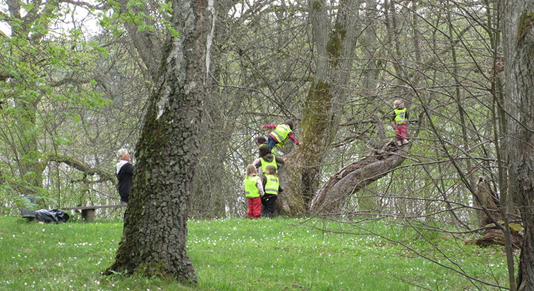 Fotograf: Charlotta Larsson