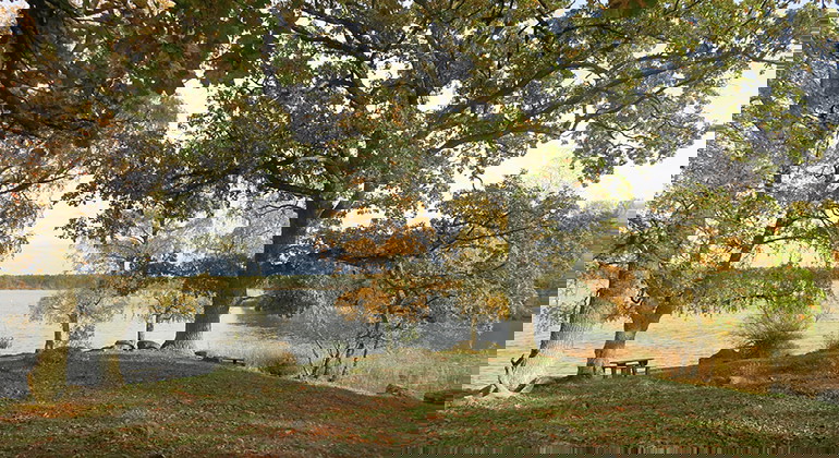 Utsikt över Hornsjön