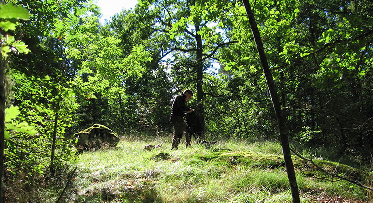 Bankeberg, Naturreservat