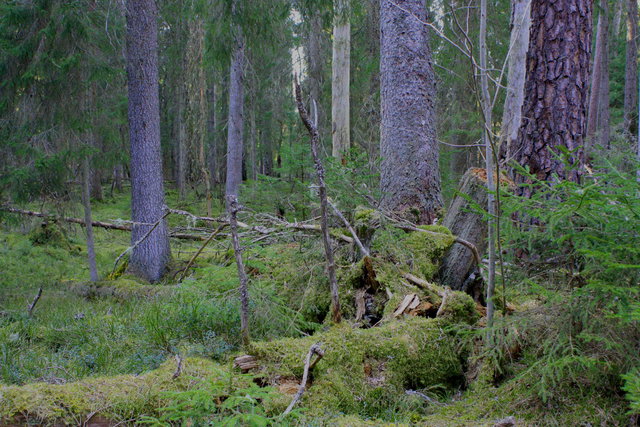 Vandringsled, Ryfors naturreservat