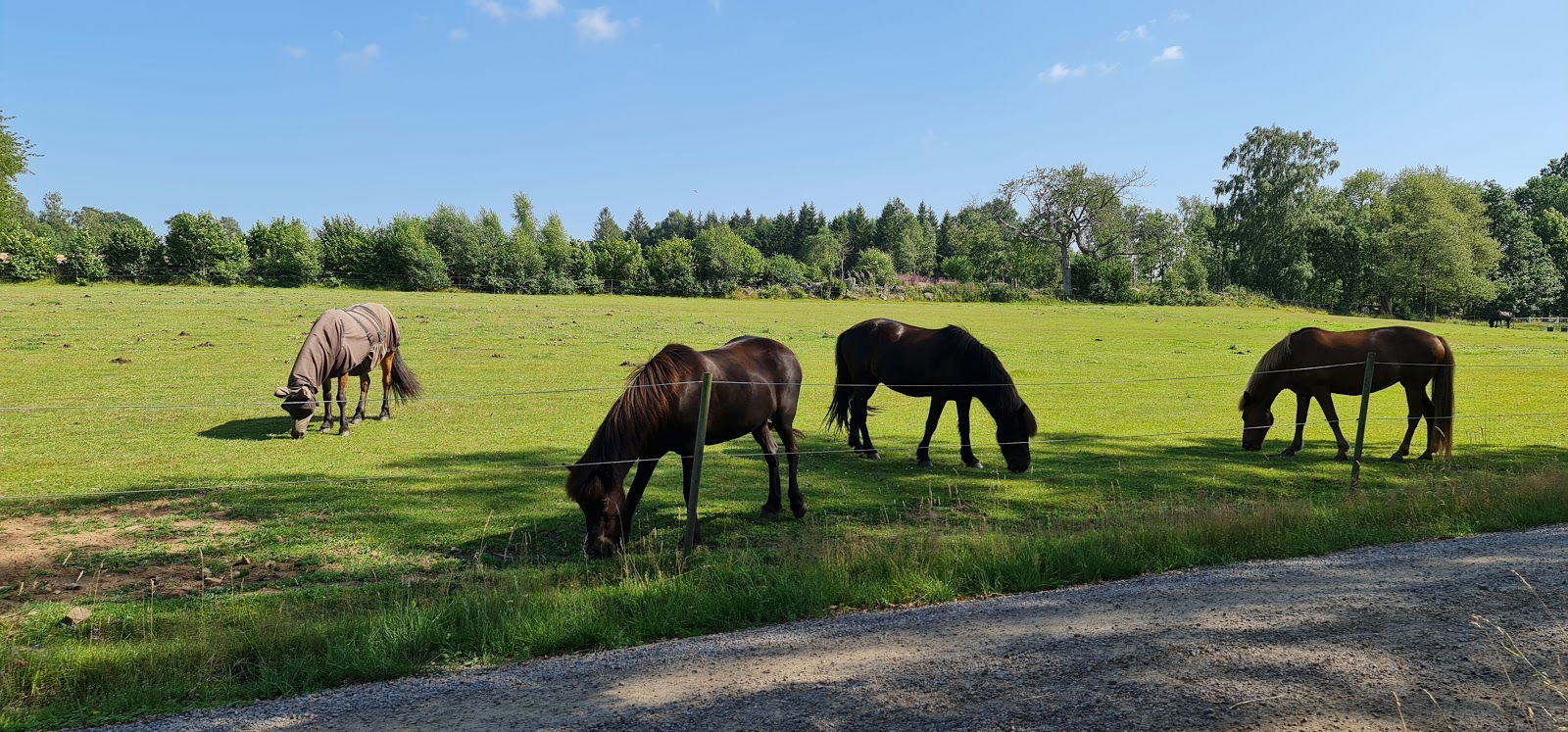 Söderåsens Forsgård, hästgård, Kvidinge Åstorp
